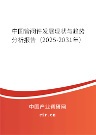 中國管閥件發展現狀與趨勢分析報告（2025-2031年）