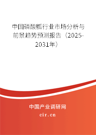 中國(guó)磷酸胍行業(yè)市場(chǎng)分析與前景趨勢(shì)預(yù)測(cè)報(bào)告（2025-2031年）