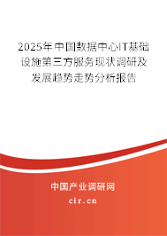 2025年中國數(shù)據(jù)中心IT基礎(chǔ)設(shè)施第三方服務(wù)現(xiàn)狀調(diào)研及發(fā)展趨勢走勢分析報(bào)告