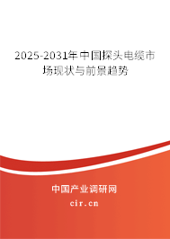 2025-2031年中國探頭電纜市場現狀與前景趨勢