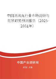 中國消渴丸行業(yè)市場調(diào)研與前景趨勢預(yù)測報(bào)告（2025-2031年）