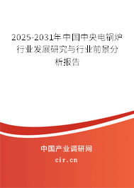 2025-2031年中國中央電鍋爐行業發展研究與行業前景分析報告