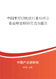 中國書寫印刷紙行業標桿企業戰略管理研究咨詢報告