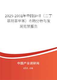 2025-2031年中國BHT（二丁基羥基甲苯）市場分析與發展前景報告