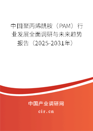 中國聚丙烯酰胺（PAM）行業(yè)發(fā)展全面調(diào)研與未來趨勢報(bào)告（2025-2031年）