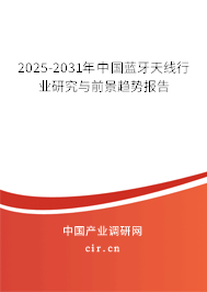 2024-2030年中國藍牙天線行業研究與前景趨勢報告