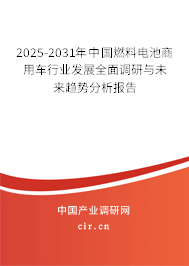2024-2030年中國燃料電池商用車行業發展全面調研與未來趨勢分析報告