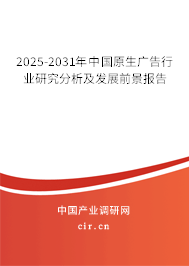 2025-2031年中國原生廣告行業研究分析及發展前景報告
