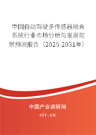 中國自動駕駛多傳感器融合系統行業市場分析與發展前景預測報告（2025-2031年）