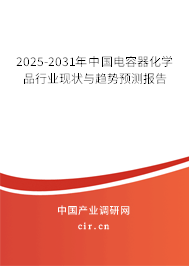 2025-2031年中國電容器化學(xué)品行業(yè)現(xiàn)狀與趨勢預(yù)測報告