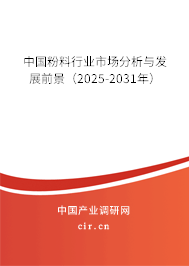 中國(guó)粉料行業(yè)市場(chǎng)分析與發(fā)展前景（2025-2031年）