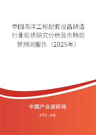 中國海洋工程配套設備制造行業現狀研究分析及市場前景預測報告（2025年）
