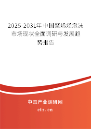 2024-2030年中國聚烯烴泡沫市場現狀全面調研與發展趨勢報告