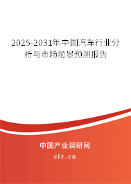 2025-2031年中國汽車行業分析與市場前景預測報告