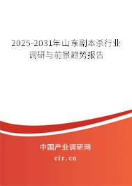 2025-2031年山東劇本殺行業調研與前景趨勢報告