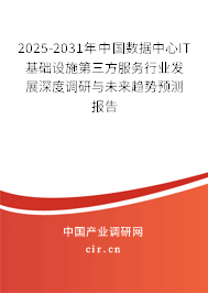 2025-2031年中國數據中心IT基礎設施第三方服務行業發展深度調研與未來趨勢預測報告