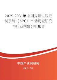 2025-2031年中國先進過程控制系統(tǒng)（APC）市場調(diào)查研究與行業(yè)前景分析報告
