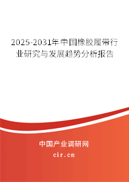 2025-2031年中國橡膠履帶行業(yè)研究與發(fā)展趨勢分析報(bào)告