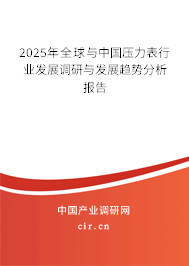 2025年全球與中國壓力表行業發展調研與發展趨勢分析報告
