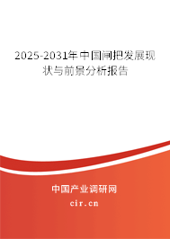 2025-2031年中國(guó)閘把發(fā)展現(xiàn)狀與前景分析報(bào)告