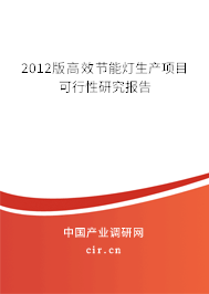 2012版高效節能燈生產項目可行性研究報告