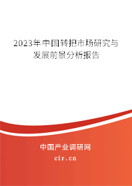 2023年中國(guó)轉(zhuǎn)把市場(chǎng)研究與發(fā)展前景分析報(bào)告