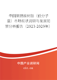中國聚酰胺樹脂(低分子量)市場現狀調研與發展前景分析報告(2023-2029年) 中國聚酰胺樹脂(低分子量)市場現狀調研與發展前景分析報告(2023-2029年)