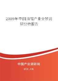2009年中國滑雪產業全景調研分析報告