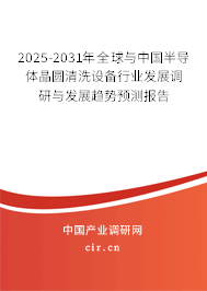 2024-2030年全球與中國半導體晶圓清洗設備行業發展調研與發展趨勢預測報告
