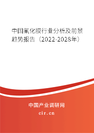 中國氟化膜行業分析及前景趨勢報告（2022-2028年）