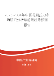 2025-2031年中國花鍵拉刀市場研究分析與前景趨勢預測報告