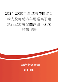 2024-2030年全球與中國混合動力及電動汽車用鋰離子電池行業(yè)發(fā)展全面調(diào)研與未來趨勢報告