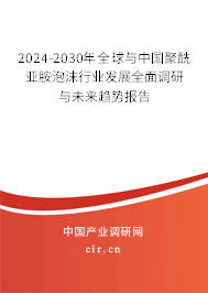 2024-2030年全球與中國(guó)聚酰亞胺泡沫行業(yè)發(fā)展全面調(diào)研與未來(lái)趨勢(shì)報(bào)告