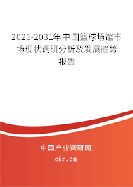 2025-2031年中國籃球場館市場現狀調研分析及發展趨勢報告
