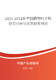 2023-2024年中國模塑料市場研究分析與前景趨勢預測