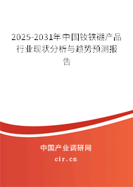 2025-2031年中國釹鐵硼產品行業現狀分析與趨勢預測報告