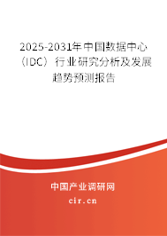 2025-2031年中國數據中心（IDC）行業研究分析及發展趨勢預測報告