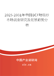 2025-2031年中國BCF地毯紗市場調查研究及前景趨勢分析