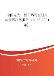 中國電力工程市場調查研究與前景趨勢報告（2025-2031年）