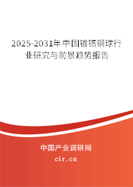 2025-2031年中國(guó)鍍鉻鋼球行業(yè)研究與前景趨勢(shì)報(bào)告