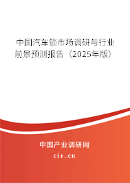 中國汽車鎖市場調研與行業前景預測報告（2024年版）