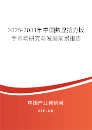 2025-2031年中國數(shù)顯扭力扳手市場研究與發(fā)展前景報告