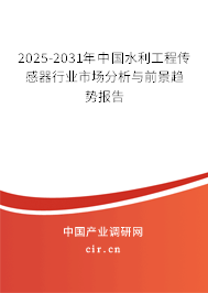 2025-2031年中國水利工程傳感器行業市場分析與前景趨勢報告