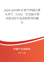 2024-2030年全球與中國(guó)壓縮天然氣（CNG）過(guò)濾器市場(chǎng)深度調(diào)研與發(fā)展趨勢(shì)預(yù)測(cè)報(bào)告