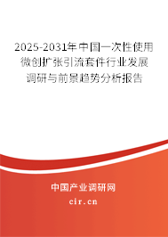 2024-2030年中國一次性使用微創擴張引流套件行業發展調研與前景趨勢分析報告