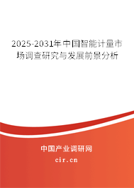 2025-2031年中國智能計量市場調查研究與發展前景分析