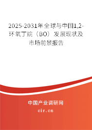 2025-2031年全球與中國1,2-環(huán)氧丁烷(BO)發(fā)展現(xiàn)狀及市場前景報告 2025-2031年全球與中國1,2-環(huán)氧丁烷(BO)發(fā)展現(xiàn)狀及市場前景報告