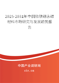 2025-2031年中國釹鐵硼永磁材料市場研究與發展趨勢報告