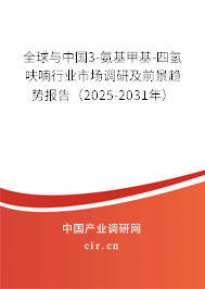 全球與中國3-氨基甲基-四氫呋喃行業市場調研及前景趨勢報告（2025-2031年）