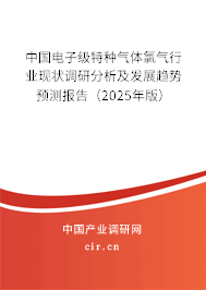 中國電子級特種氣體氯氣行業(yè)現(xiàn)狀調(diào)研分析及發(fā)展趨勢預(yù)測報(bào)告（2025年版）
